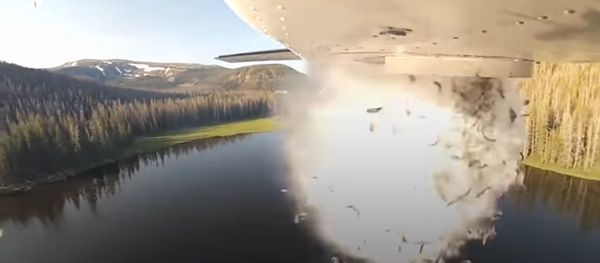 Fish dropped in the high-mountain lakes of Utah - Sputnik International
