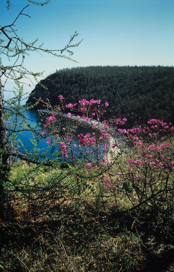Magical Blue Eye of Siberia: Changing Seasons on Lake Baikal - Sputnik International
