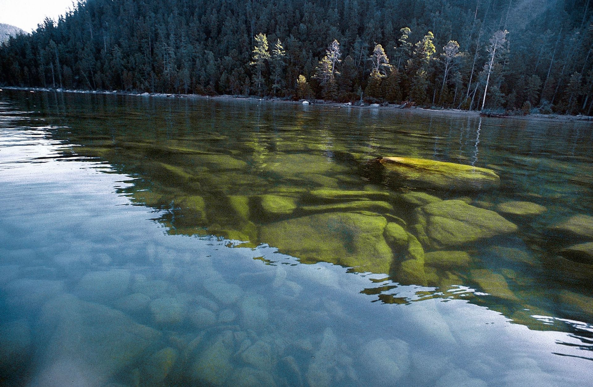 NASA Stunned by Perplexing Stripes Dotting Russia's Arctic Siberia in Satellite Pics - Sputnik International, 1920, 27.02.2021
