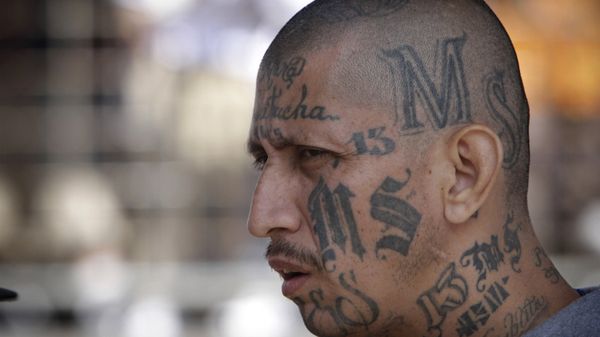 Miembro de la Mara Salvatrucha (archivo) - Sputnik International