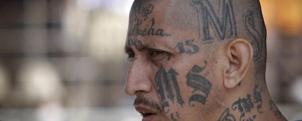 Miembro de la Mara Salvatrucha (archivo) Miembro de la Mara Salvatrucha (archivo) - Sputnik International