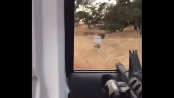 Shooting Through the Car Door. 2018 - Sputnik International
