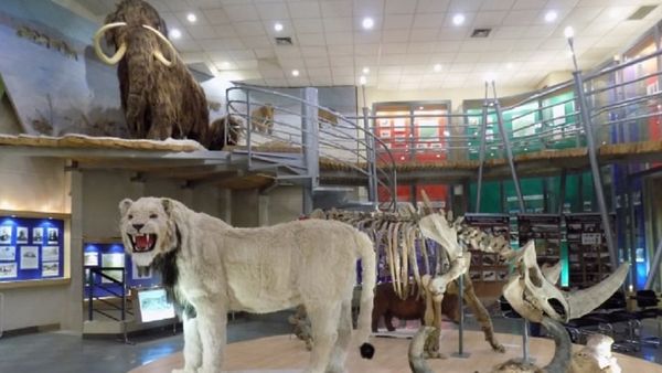 Jurassic-park style cloning facility - Sputnik International