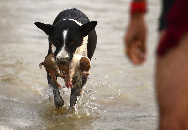 This Week in Pictures: September 1-7 - Sputnik International