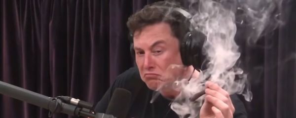 Elon Musk smokes a blunt with Joe Rogan Elon Musk smokes a blunt with Joe Rogan - Sputnik International