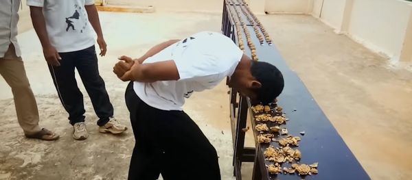 Most walnuts cracked against the head in one minute - Guinness World Records Most walnuts cracked against the head in one minute - Guinness World Records - Sputnik International