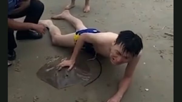 Man Stung on His Willy by Stingray Lying on the Beach - Sputnik International