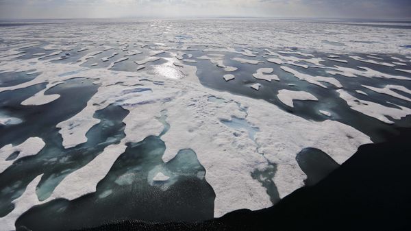 Sea ice melts on the Franklin Strait along the Northwest Passage in the Canadian Arctic Archipelago, Saturday, July 22, 2017. Because of climate change, more sea ice is being lost each summer than is being replenished in winters. Less sea ice coverage also means that less sunlight will be reflected off the surface of the ocean in a process known as the albedo effect. The oceans will absorb more heat, further fueling global warming Sea ice melts on the Franklin Strait along the Northwest Passage in the Canadian Arctic Archipelago, Saturday, July 22, 2017. Because of climate change, more sea ice is being lost each summer than is being replenished in winters. Less sea ice coverage also means that less sunlight will be reflected off the surface of the ocean in a process known as the albedo effect. The oceans will absorb more heat, further fueling global warming - Sputnik International