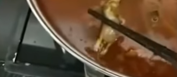 Chinese restaurant gets shut down after pregnant woman finds dead rat in soup Chinese restaurant gets shut down after pregnant woman finds dead rat in soup - Sputnik International