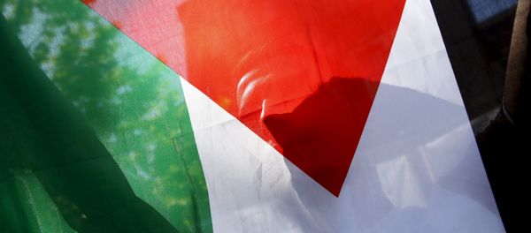 A Palestinian refugee holds the flag of Palestine during a protest in Madrid, Spain, July 21, 2015 A Palestinian refugee holds the flag of Palestine during a protest in Madrid, Spain, July 21, 2015 - Sputnik International