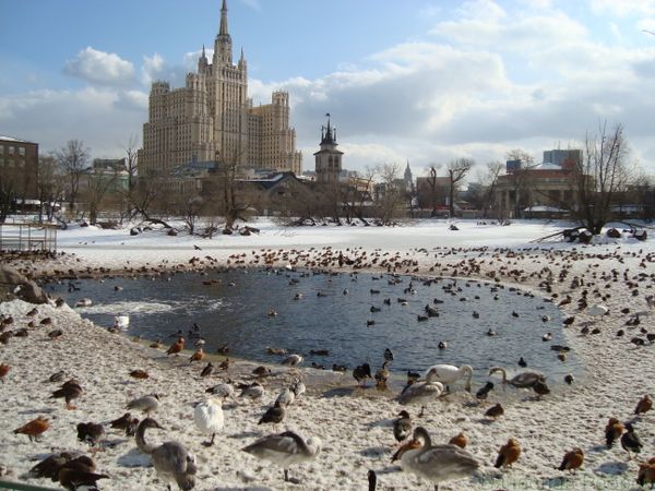 Seven Sisters: Moscow's Wonderful Stalinist Skyscrapers - Sputnik International