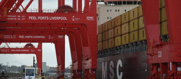 Containers are unloaded from a ship moored up in the new Peel Ports container terminal in Liverpool on November 4, 2016 - Sputnik International