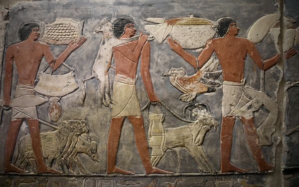 A wall of a chamber of the tomb of Mehu is seen after it was opened for the public at Saqqara area near Egypt's Saqqara necropolis, in Giza, Egypt September 8, 2018.  - Sputnik International