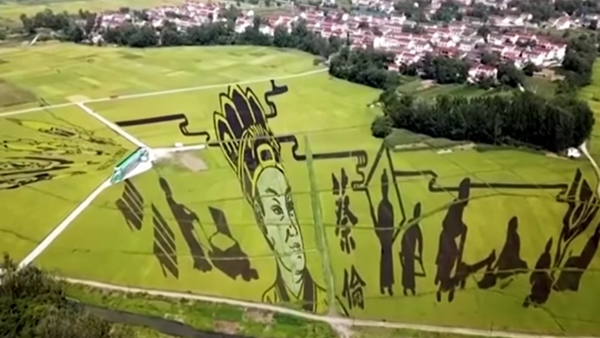 Chinese Farmers Plant Crops to Produce Magnificent Paintings - Sputnik International