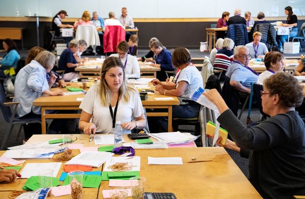 Election officials count ballot papers at a tally centre in Malmo, Sweden September 11, 2018 - Sputnik International