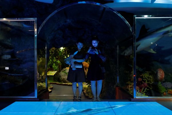 Entertainment, North Korean Style: The New Natural History Museum in Pyongyang - Sputnik International