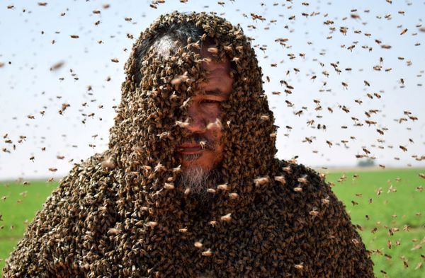 This Week in Pictures: September 8-14 This Week in Pictures: September 8-14 - Sputnik International