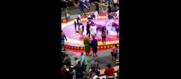 Camel at Syria Shrine Circus performance sends multiple people to hospital with injuries after bucking around the arena Camel at Syria Shrine Circus performance sends multiple people to hospital with injuries after bucking around the arena - Sputnik International