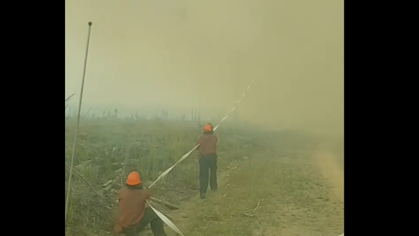 ‘That’s Definitely a First’: British Columbia Firefighters Lose Hose to Fire Devil - Sputnik International