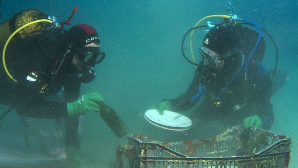 In the Ocean Deep: What You Don't Expect to See While Diving in Greece - Sputnik International