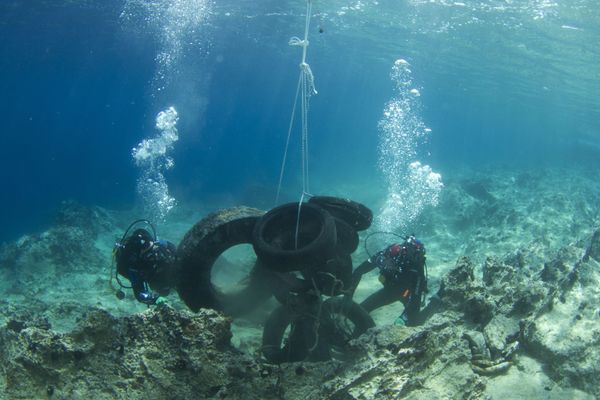 In the Ocean Deep: What You Don't Expect to See While Diving in Greece In the Ocean Deep: What You Don't Expect to See While Diving in Greece - Sputnik International