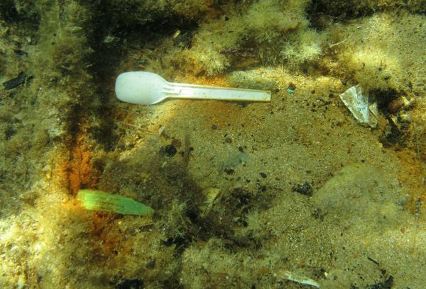 In the Ocean Deep: What You Don't Expect to See While Diving in Greece In the Ocean Deep: What You Don't Expect to See While Diving in Greece - Sputnik International
