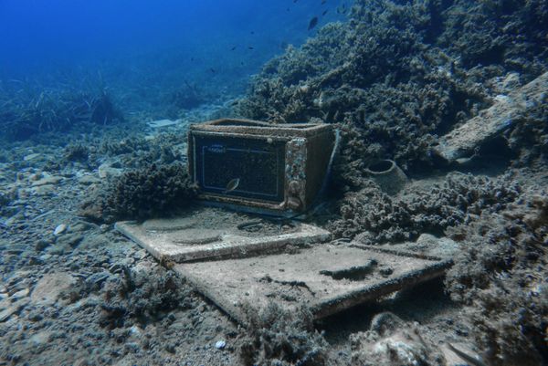 In the Ocean Deep: What You Don't Expect to See While Diving in Greece In the Ocean Deep: What You Don't Expect to See While Diving in Greece - Sputnik International
