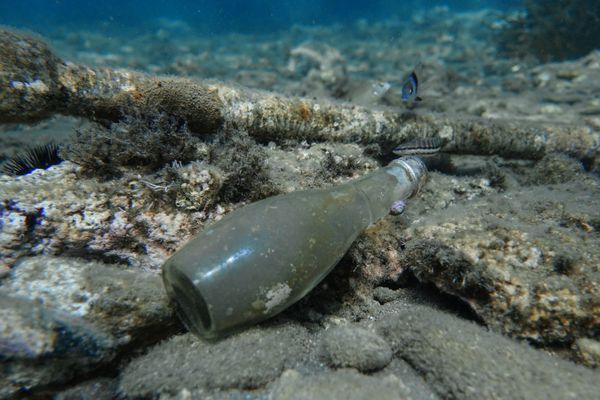 In the Ocean Deep: What You Don't Expect to See While Diving in Greece In the Ocean Deep: What You Don't Expect to See While Diving in Greece - Sputnik International
