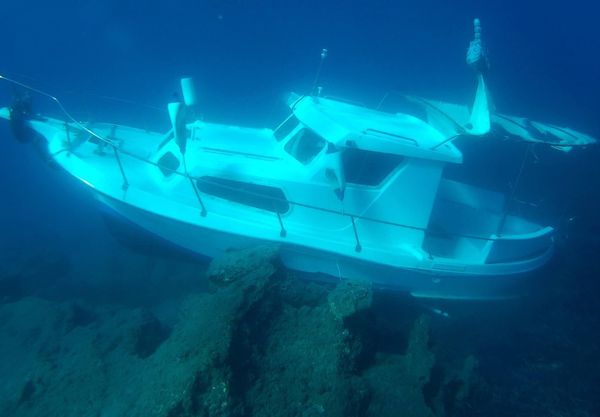 In the Ocean Deep: What You Don't Expect to See While Diving in Greece In the Ocean Deep: What You Don't Expect to See While Diving in Greece - Sputnik International