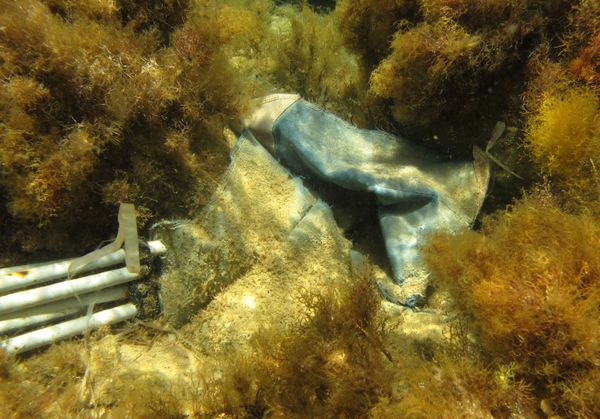 In the Ocean Deep: What You Don't Expect to See While Diving in Greece In the Ocean Deep: What You Don't Expect to See While Diving in Greece - Sputnik International