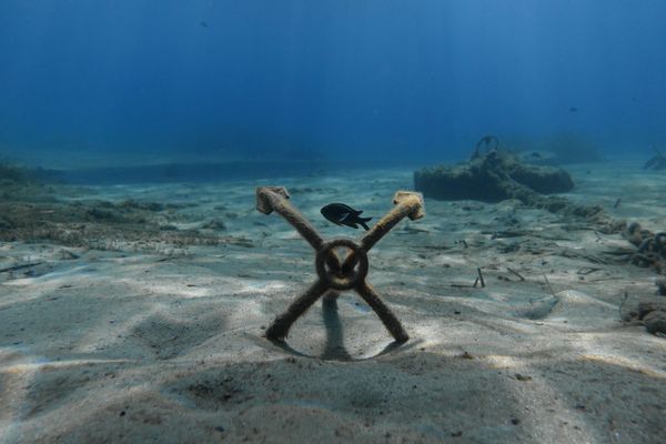 In the Ocean Deep: What You Don't Expect to See While Diving in Greece In the Ocean Deep: What You Don't Expect to See While Diving in Greece - Sputnik International