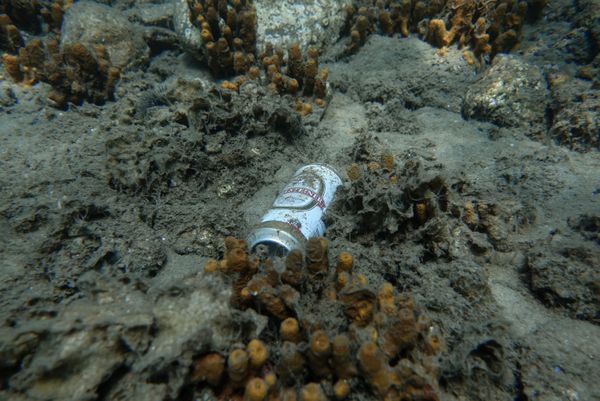 In the Ocean Deep: What You Don't Expect to See While Diving in Greece In the Ocean Deep: What You Don't Expect to See While Diving in Greece - Sputnik International
