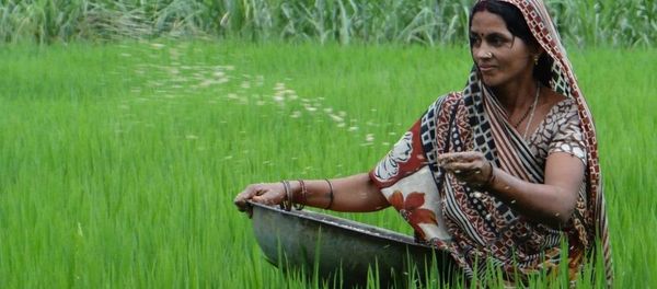  Women Farmers of India Striving To Overcome an Era of Marginalization - Sputnik International