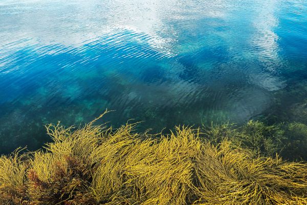Murmansk Region: Captivating Sights of Russia's Northern Reaches Murmansk Region: Captivating Sights of Russia's Northern Reaches - Sputnik International