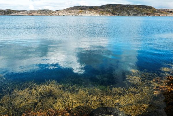 Murmansk Region: Captivating Sights of Russia's Northern Reaches Murmansk Region: Captivating Sights of Russia's Northern Reaches - Sputnik International