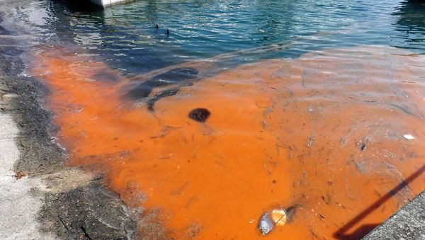 Red Tide - Sputnik International