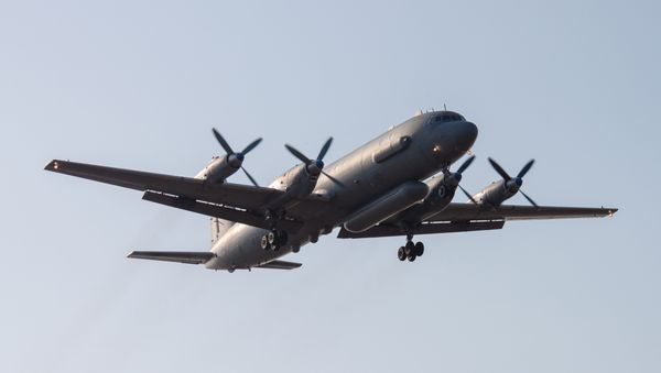 A Russian Il-20 reconnaissance aircraft (File) - Sputnik International