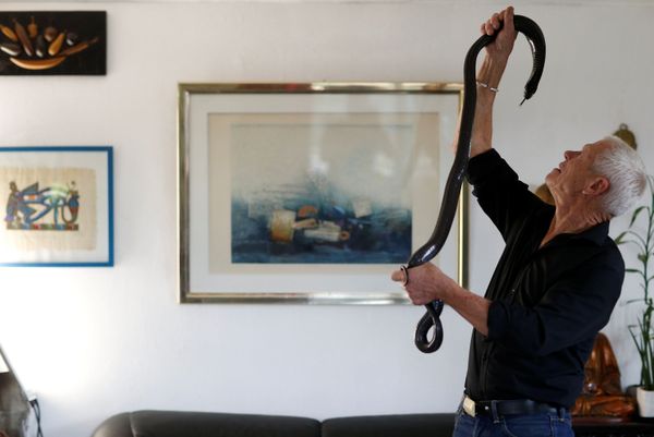 Cold-Blooded Tenants: A French Man Who Owns 400 Reptiles - Sputnik International