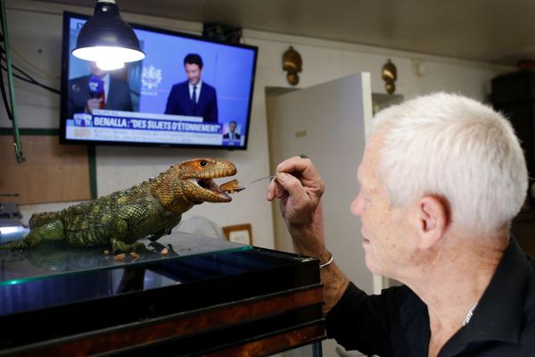 Cold-Blooded Tenants: A French Man Who Owns 400 Reptiles - Sputnik International
