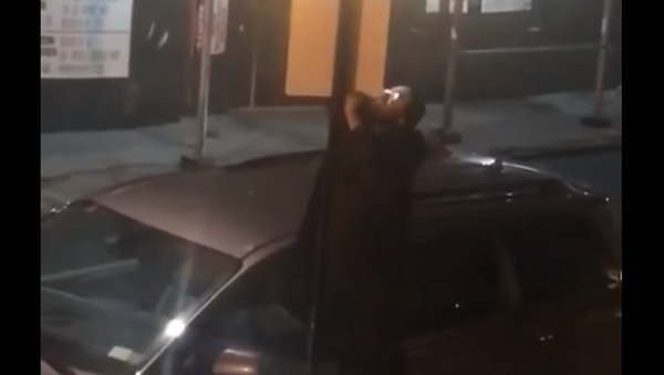 Criminal Creativity: New York Man Parks, Removes ‘No Parking’ Sign - Sputnik International