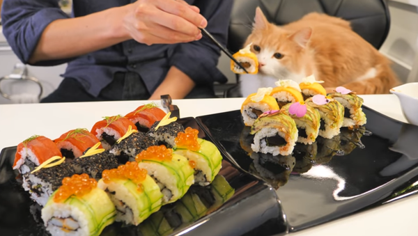 Art of Sushi - Sputnik International