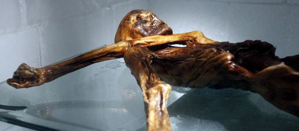 The mummy of an iceman named Otzi, discovered on 1991 in the Italian Schnal Valley glacier, is displayed at the Archaeological Museum of Bolzano on February 28, 2011 during an official presentation of the reconstrution The mummy of an iceman named Otzi, discovered on 1991 in the Italian Schnal Valley glacier, is displayed at the Archaeological Museum of Bolzano on February 28, 2011 during an official presentation of the reconstrution - Sputnik International