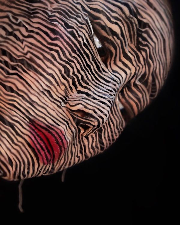 Beautiful Chimera: South Korean Artist Paints Optical Illusions on Her Face - Sputnik International