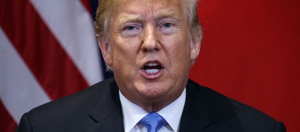President Donald Trump - Sputnik International