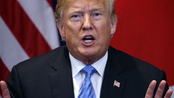 President Donald Trump - Sputnik International