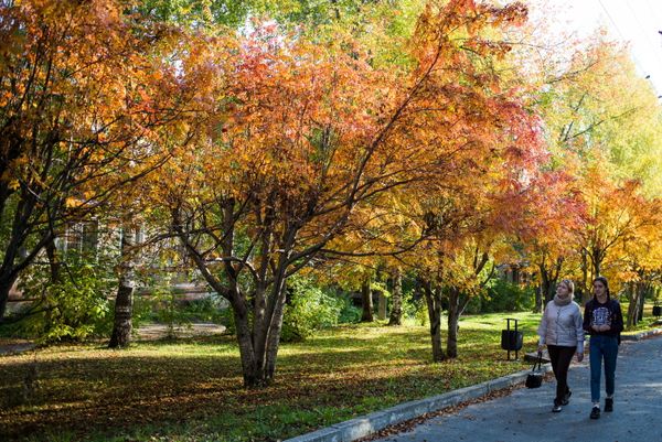 Code Red: Breathtaking Views of Autumn in Russia - Sputnik International