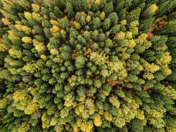 Code Red: Breathtaking Views of Autumn in Russia - Sputnik International