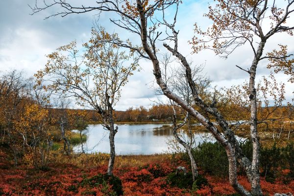 Code Red: Breathtaking Views of Autumn in Russia - Sputnik International