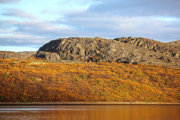 Code Red: Breathtaking Views of Autumn in Russia - Sputnik International