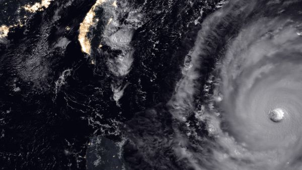 NASA super Typhoon Trami NASA super Typhoon Trami - Sputnik International